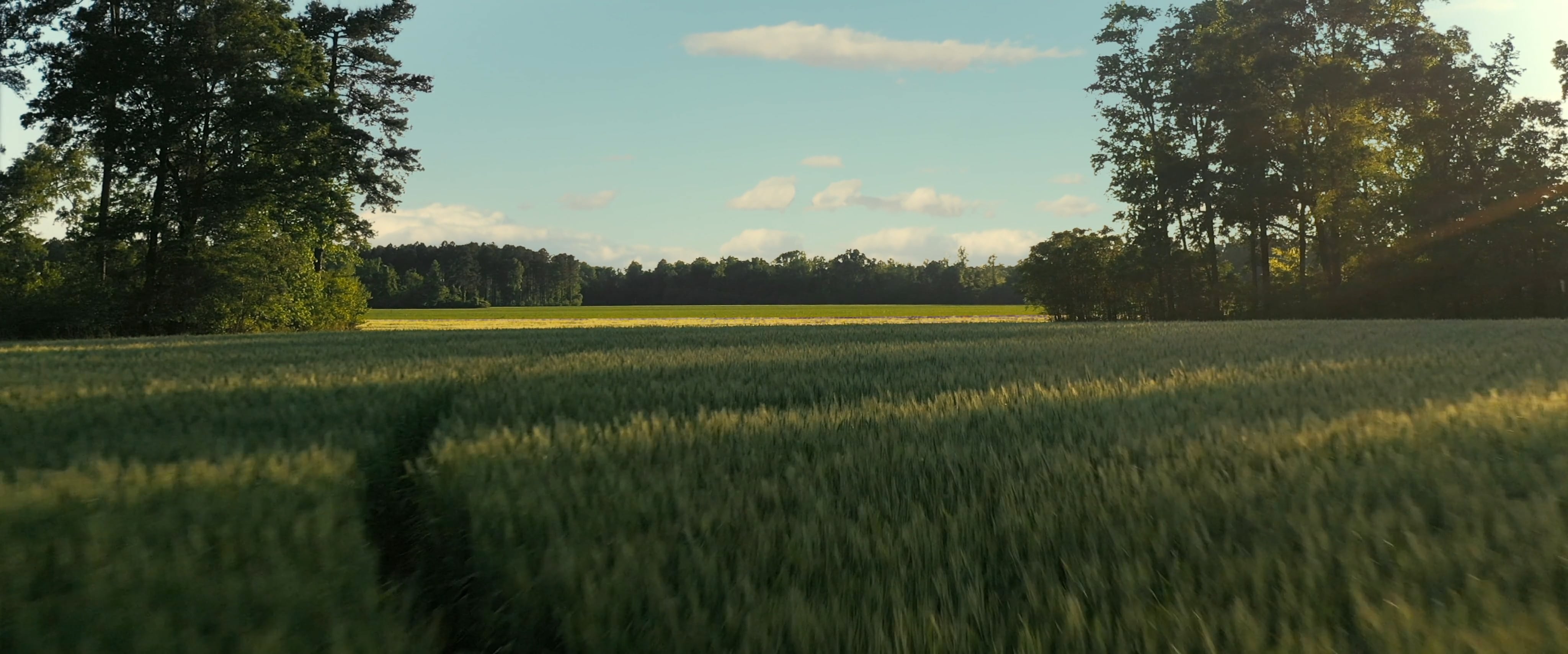 FTC - field with path