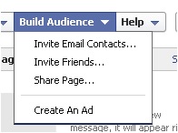 FB Build Audience