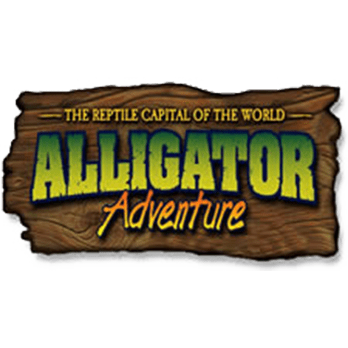 Alligator Adventure